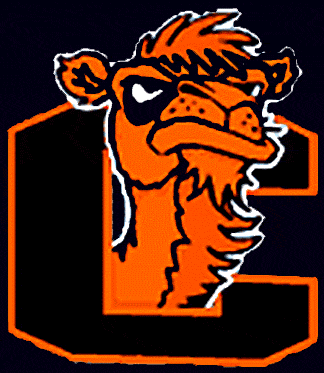 Campbell Fighting Camels 1996-2004 Alternate Logo iron on transfers for clothing